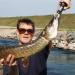 Brochet à Vue